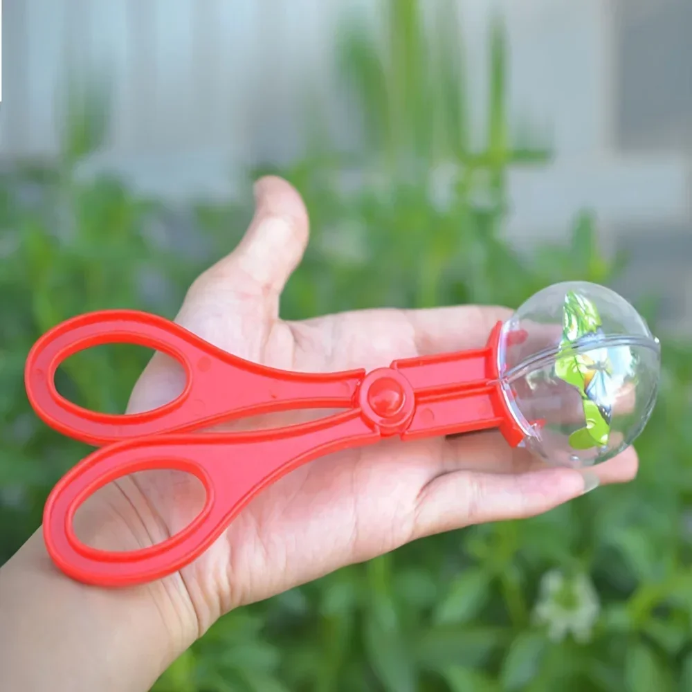 Colorful Large Bead Bug Catchi - Outdoor Adventure Toys For Kids 评论和价格