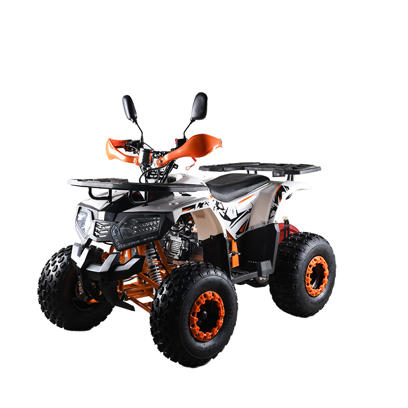 110cc CE EPA  ATV Adult 4-Whee - Outdoor Adventure Quad Biking 评论和价格