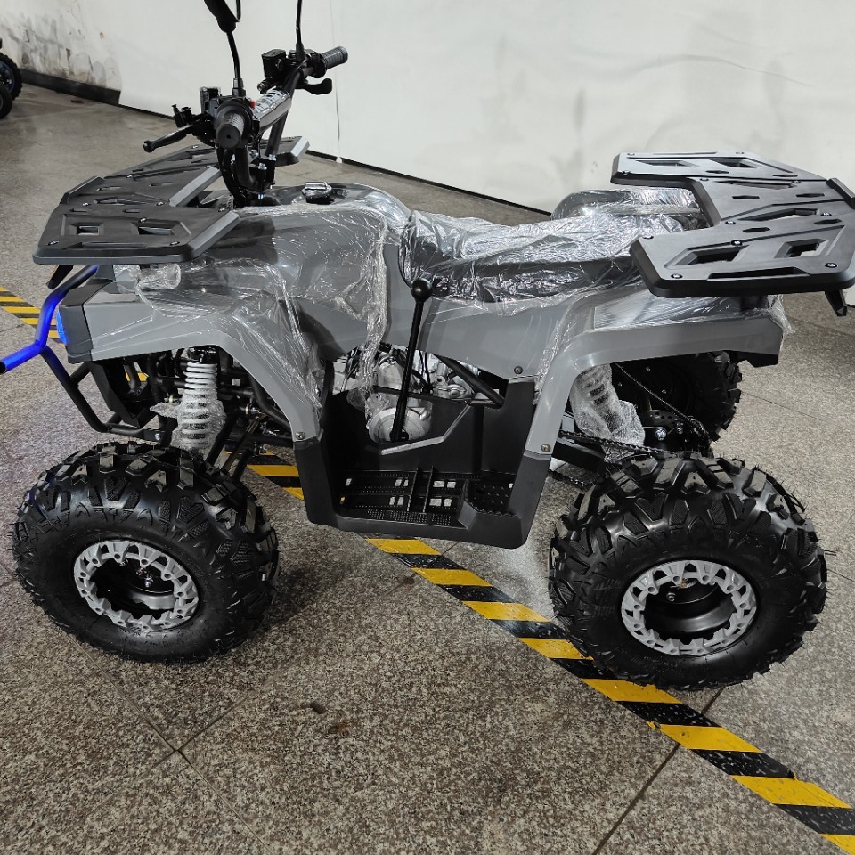 ATV 125cc, All-Terrain Quad Bi - Outdoor Adventure Quad Biking 评论和价格