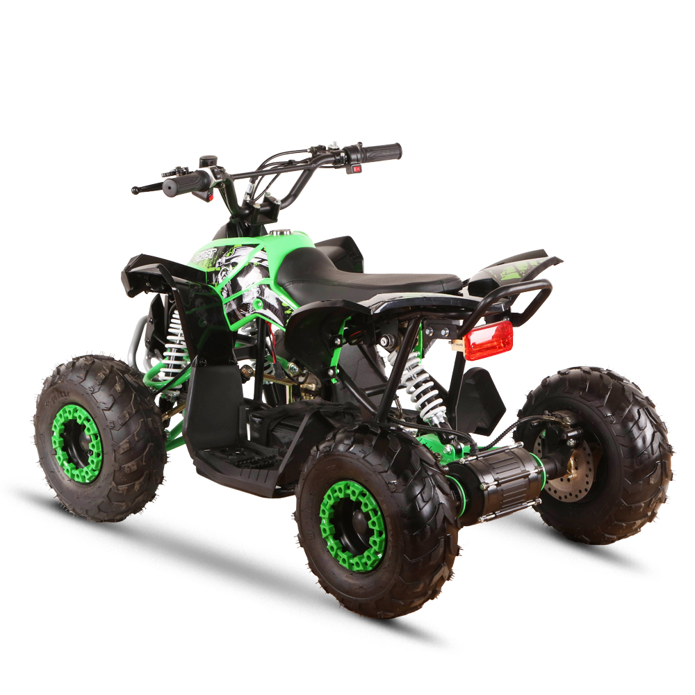 110cc 4-Stroke Powered Sporty  - Outdoor Adventure Quad Biking 评论和价格