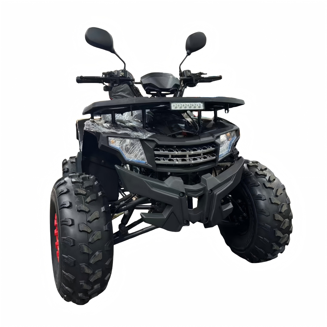 2026 New Model 125cc 4-Stroke  - Outdoor Adventure Quad Biking 评论和价格