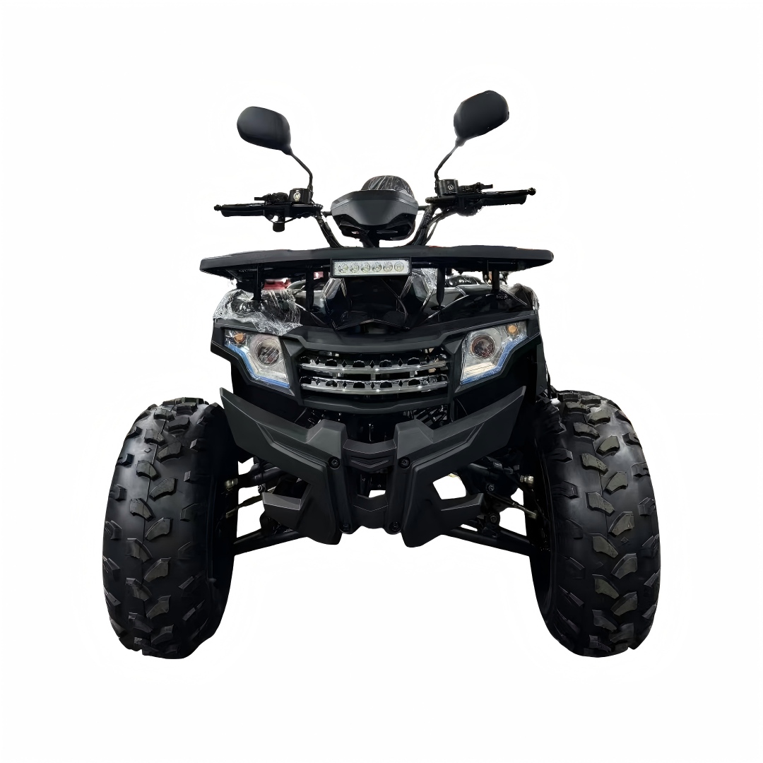 2026 New Model 125cc 4-Stroke  - Outdoor Adventure Quad Biking 评论和价格