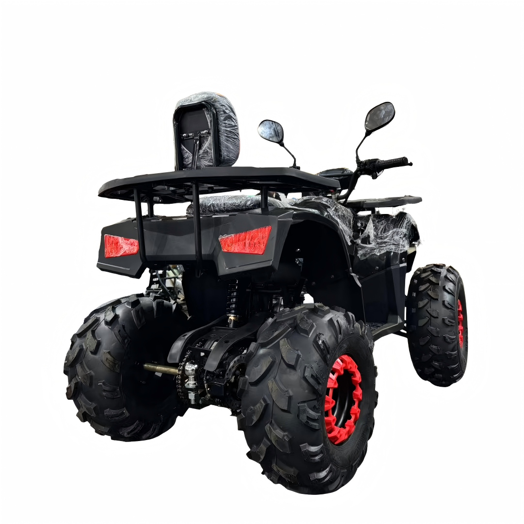 2026 New Model 125cc 4-Stroke  - Outdoor Adventure Quad Biking 评论和价格