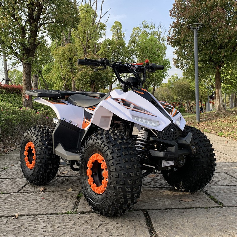 125CC ATV, Small Falcon All-Te - Outdoor Adventure Quad Biking 评论和价格