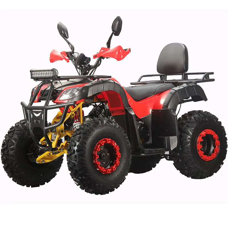 Adult Dune Buggy Customized Fo - Outdoor Adventure Quad Biking 评论和价格