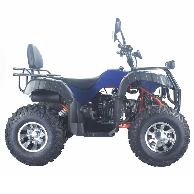 Racing Adult Dune Buggy Custom - Outdoor Adventure Quad Biking 评论和价格