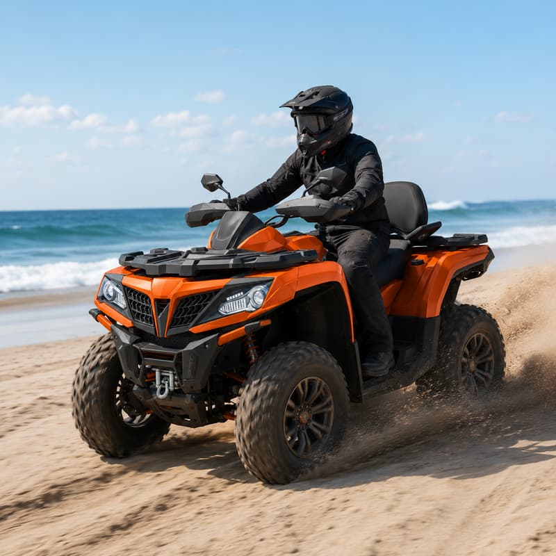 Racing Adult Dune Buggy Custom - Outdoor Adventure Quad Biking 评论和价格