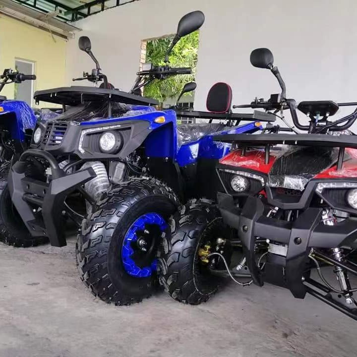 All Terrain Sand Buggy 200CC G - Outdoor Adventure Quad Biking 评论和价格