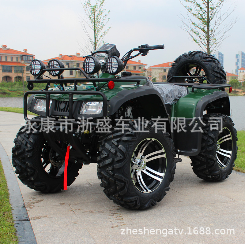 ATV 250cc, 4-Wheel All-Terrain - Outdoor Adventure Quad Biking 评论和价格