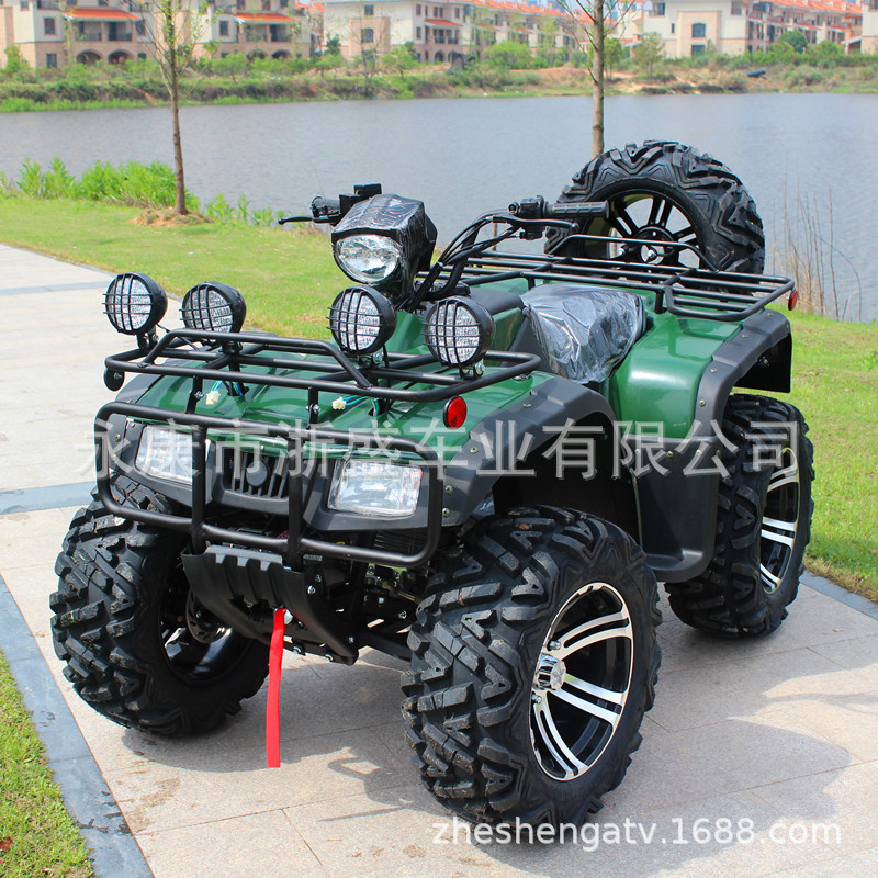 ATV 250cc, 4-Wheel All-Terrain - Outdoor Adventure Quad Biking 评论和价格